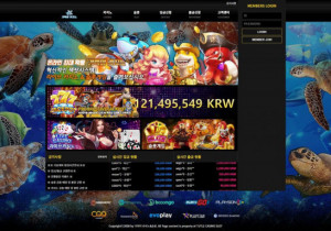 카지노사이트 거북이카지노 먹튀검증